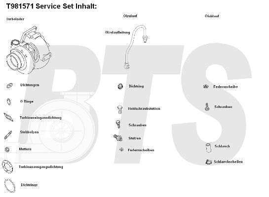 BTS TURBO Компрессор, наддув T981571